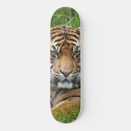 Sumatran Tiger Wildlife Photo Mini Skateboard Bräda 18,5 Cm