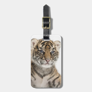 Sumatran tigerunge bagagebricka