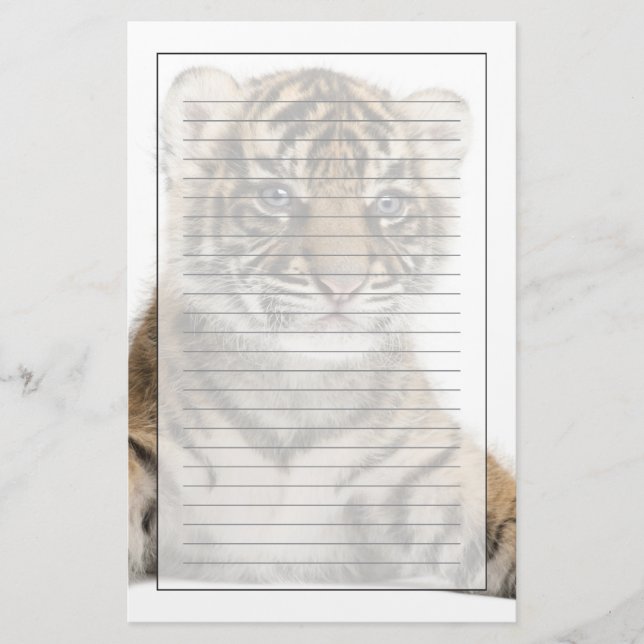 Sumatran tigerunge brevpapper (Framsida)