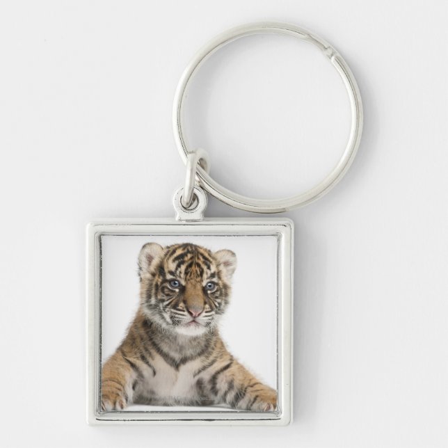 Sumatran tigerunge fyrkantig silverfärgad nyckelring (Framsidan)