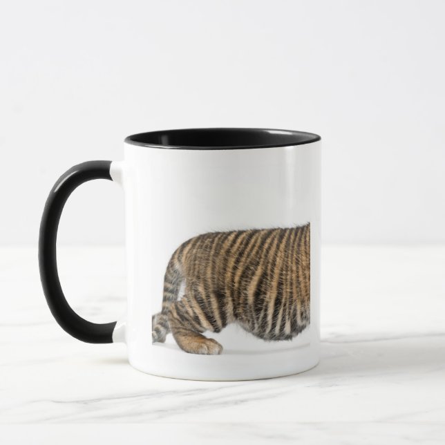 Sumatran tigerunge - Pantheratigris sumatrae (3 Mugg (Vänster)