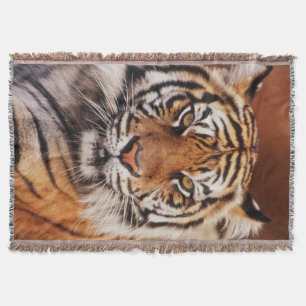 Sumatratiger Filt