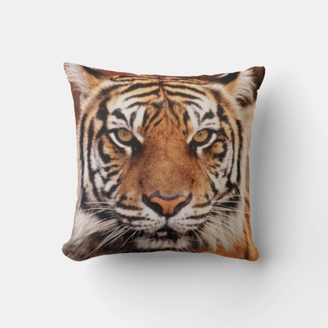 Sumatratiger Kudde (Framsida)