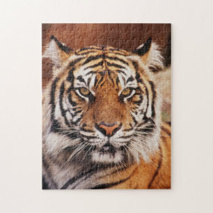 Sumatratiger Pussel