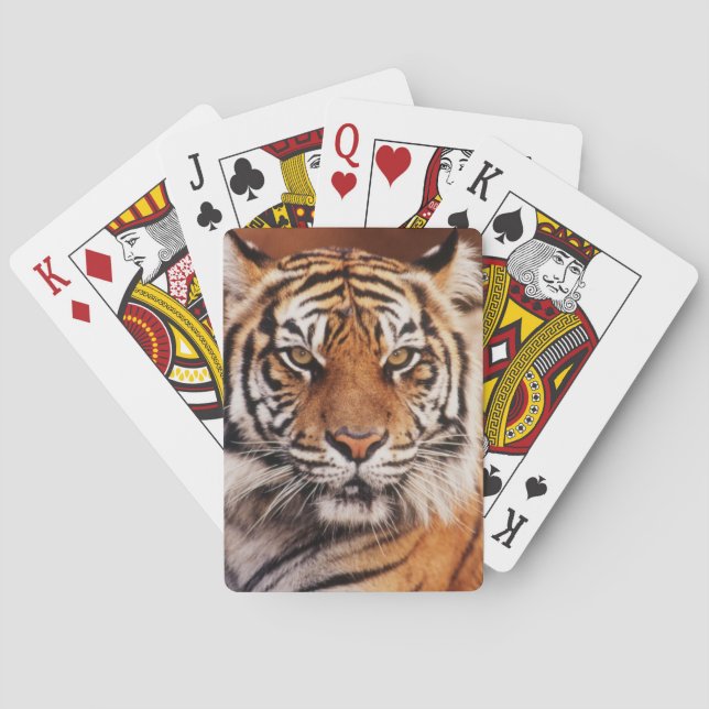 Sumatratiger Spel Kort (Baksidan)