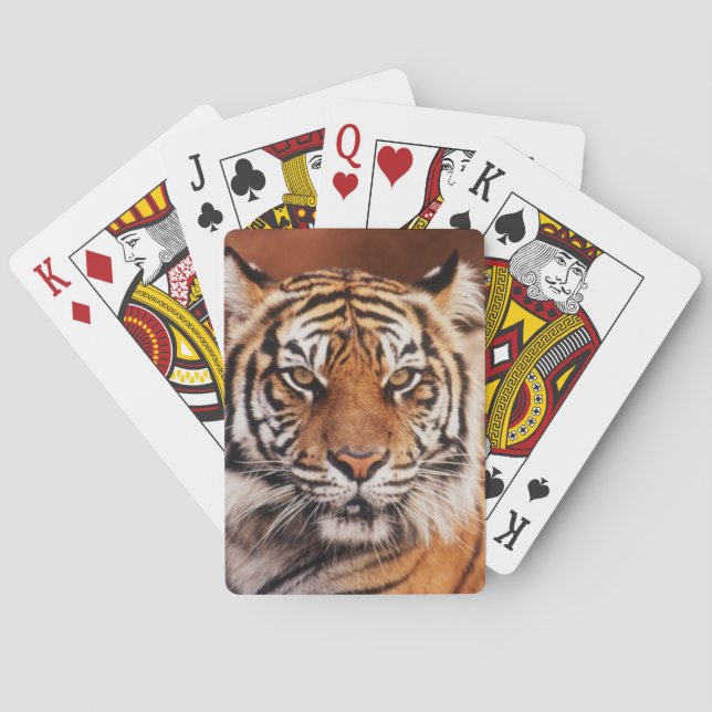 Sumatratiger Spelkort (Baksidan)