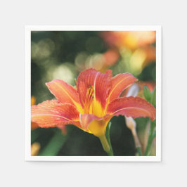 Sumder Daylily Pappersservett