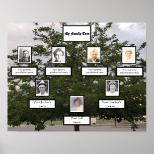 Sumertime Family Träd 3 Generation Photo Namn Poster