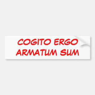 SUMMA FÖR COGITO ERGOARMATUM BILDEKAL