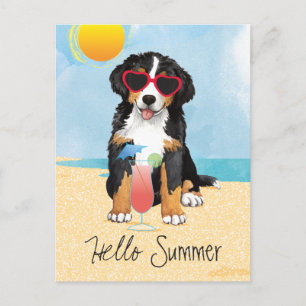 Summer Bernese Mountain Hund Vykort