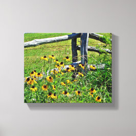 Summer Blue Ridge Parkway USA Wildblomfoto Canvastryck