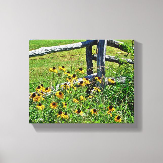 Summer Blue Ridge Parkway USA Wildblomfoto Canvastryck (Framsida)