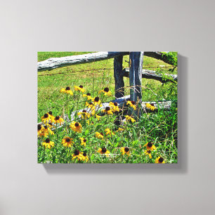 Summer Blue Ridge Parkway USA Wildblomfoto Canvastryck