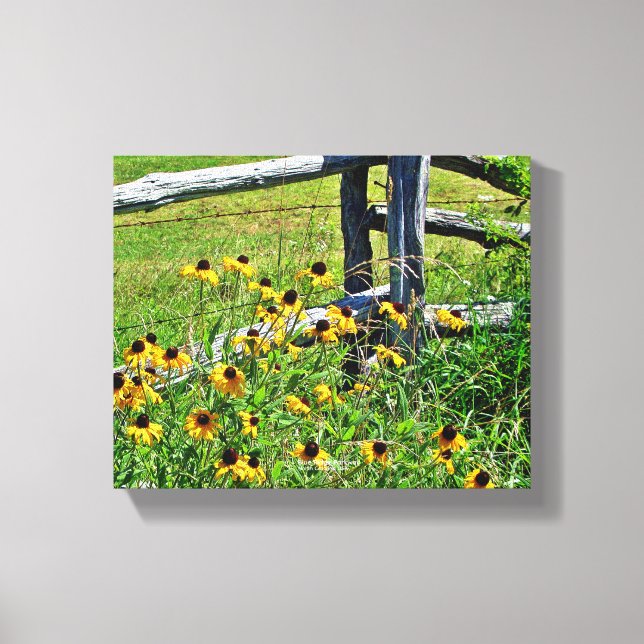 Summer Blue Ridge Parkway USA Wildblomfoto Canvastryck (Framsida)