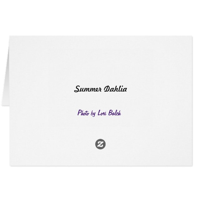 Summer Dahlia OBS Kort (Baksidan Horizontal)