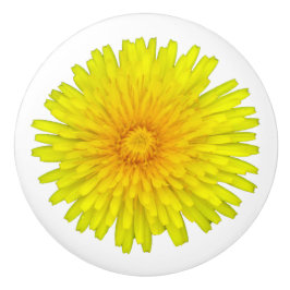 Summer Dandelion Knopp