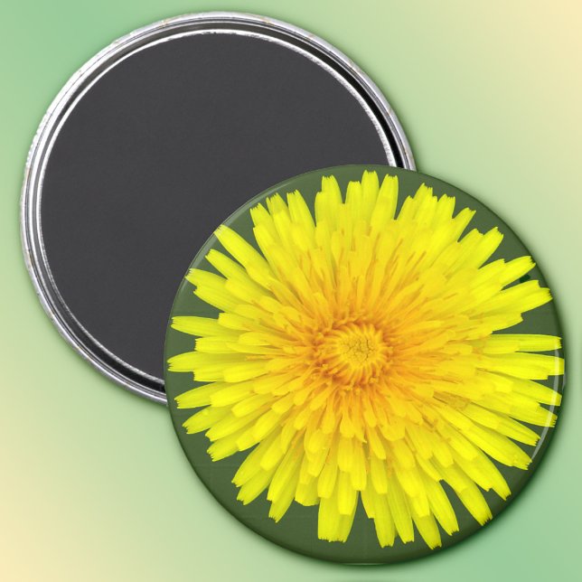 Summer Dandelion Magnet (Skapare uppladdad)