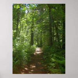 Summer Days (6) Poster