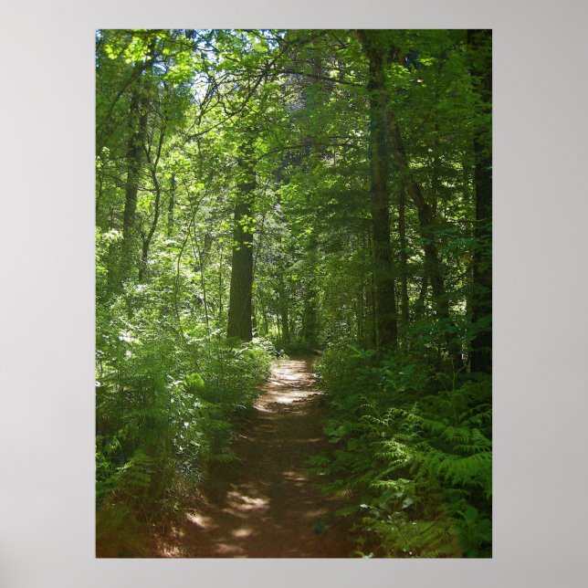 Summer Days (6) Poster (Framsidan)