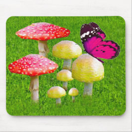 Summer Dreams Musmatta