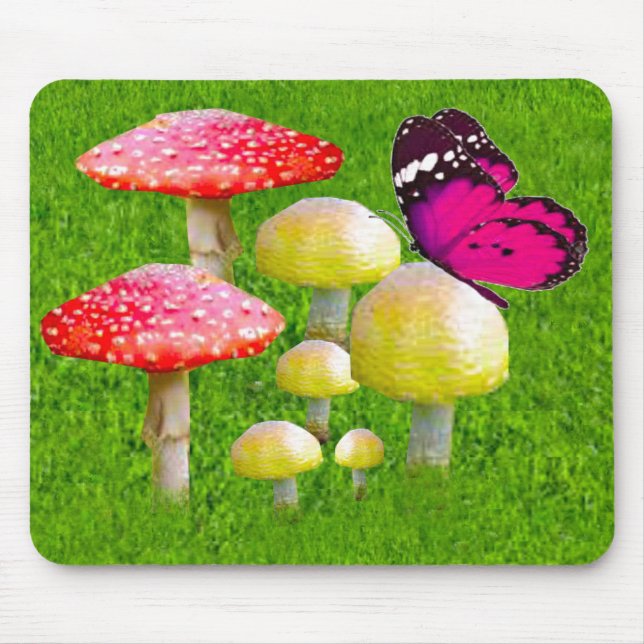 Summer Dreams Musmatta (Framsidan)