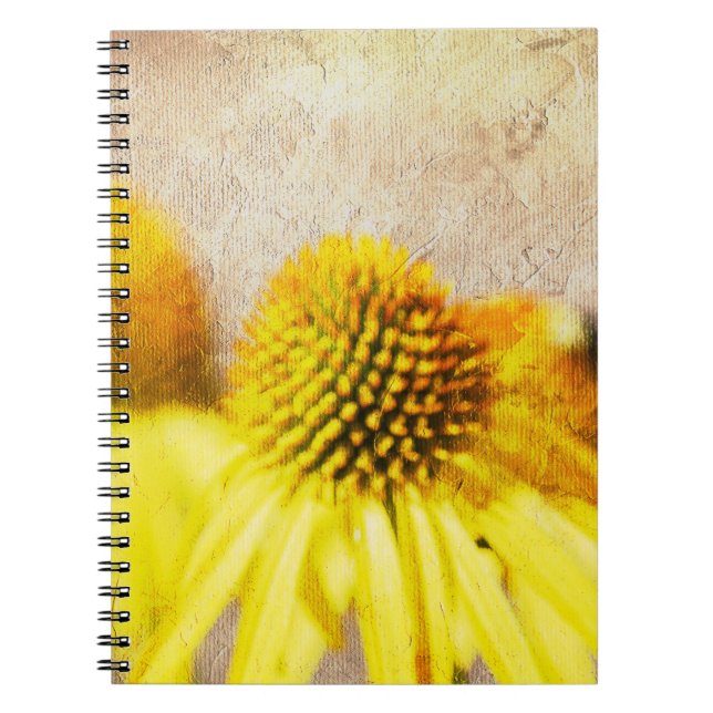 Summer Echinacea Flowers Anteckningsbok Med Spiral (Framsidan)