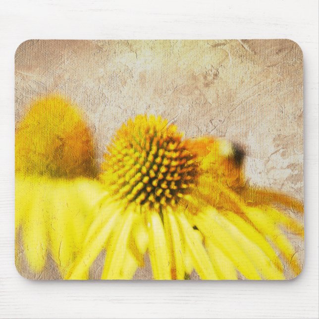 Summer Echinacea Flowers Musmatta (Framsidan)
