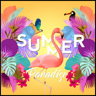 Summer Färg Kudde