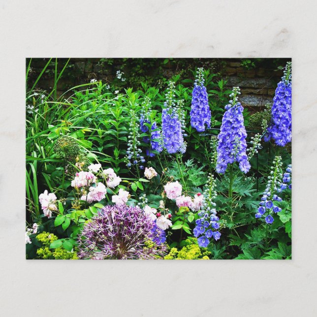 Summer Garden Vykort (Framsida)