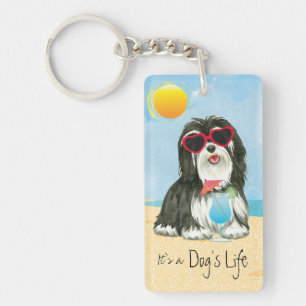 Summer Havanese