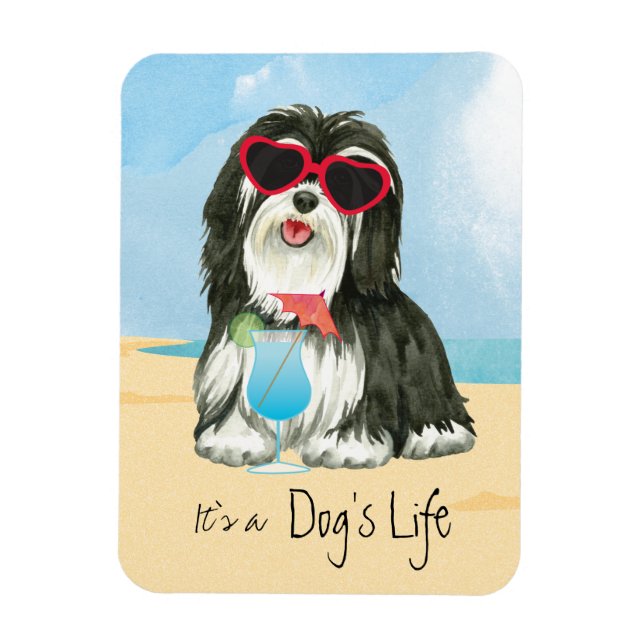 Summer Havanese Magnet (Vertikal)