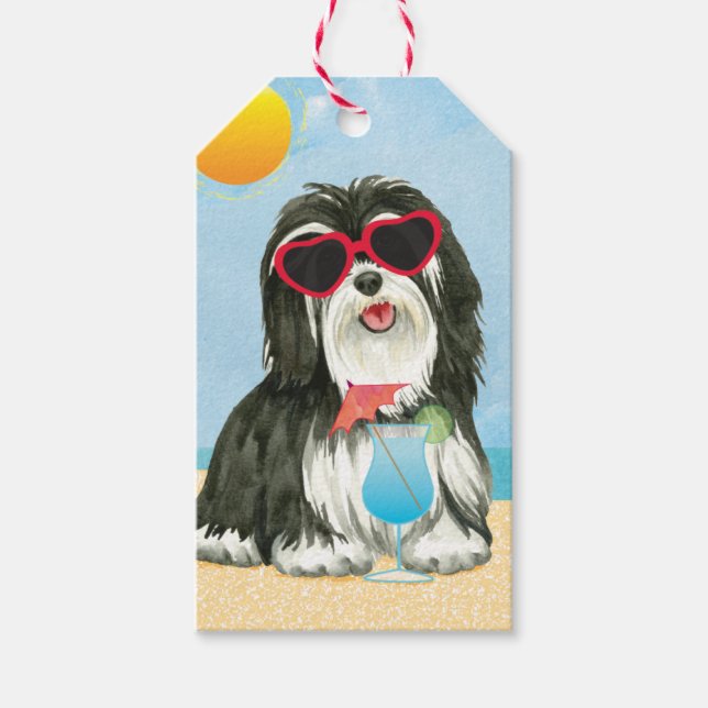 Summer Havanese Presentetikett (Framsidan)
