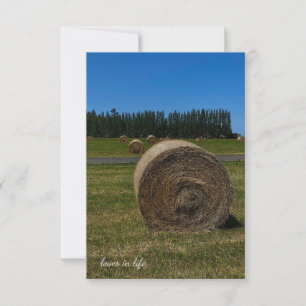 Summer Hay Bales Anteckningskort