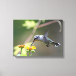 Summer Hummer Canvastryck
