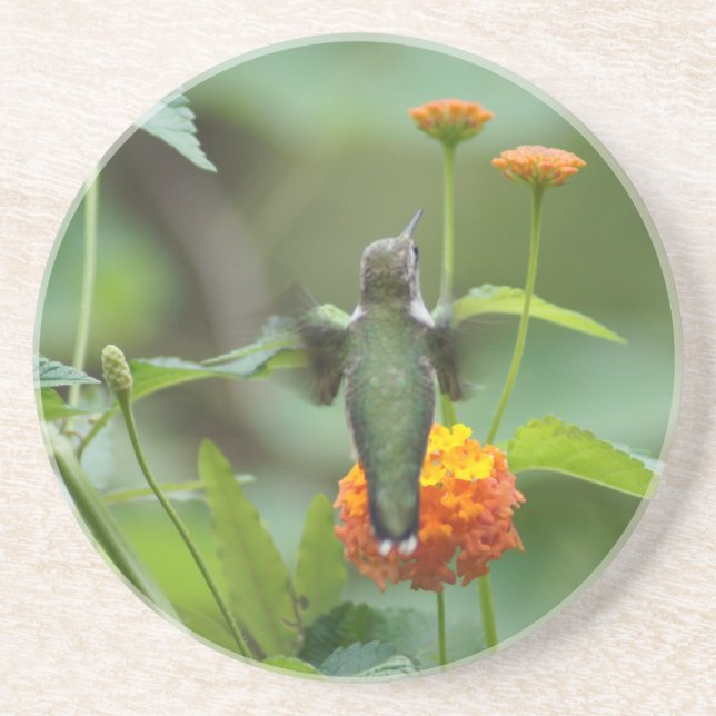 Summer Hummer Underlägg (Framsidan)