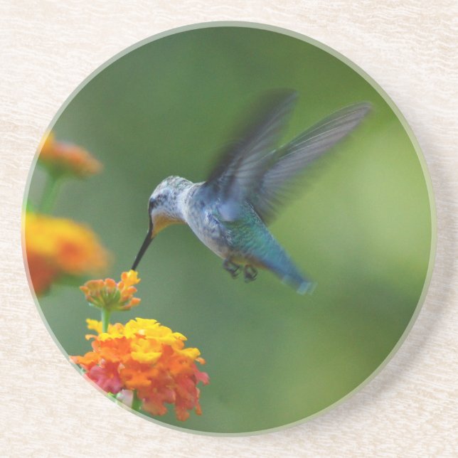 Summer Hummer Underlägg (Framsidan)