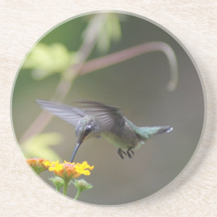 Summer Hummer Underlägg Sandsten