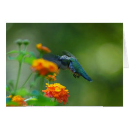 Summer Humming Hälsningskort