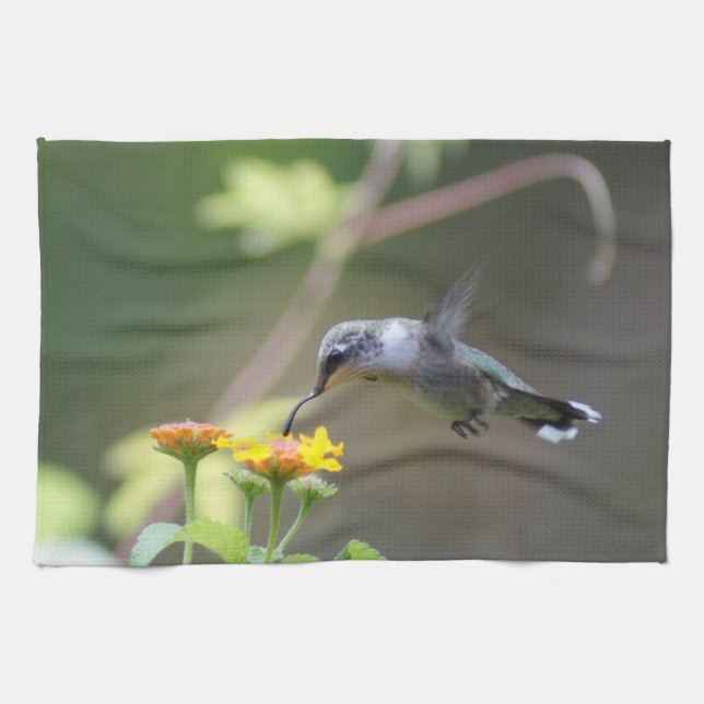 Summer Humming Kökshandduk (Horisontell)