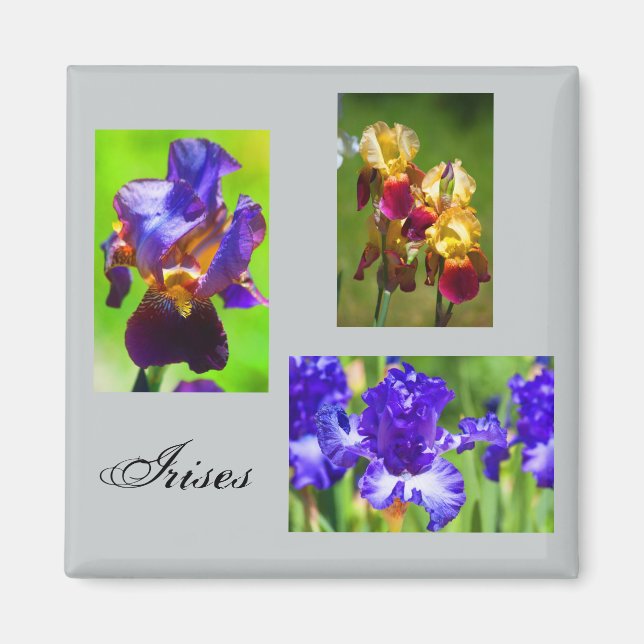 Summer Iris Magnet (Framsidan)