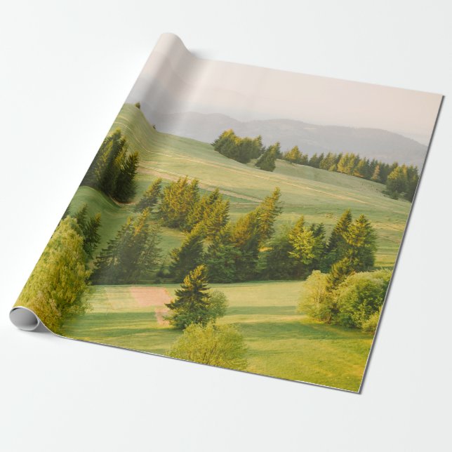 summer mountains green grass and blue sky landscap presentpapper (Utrullad)