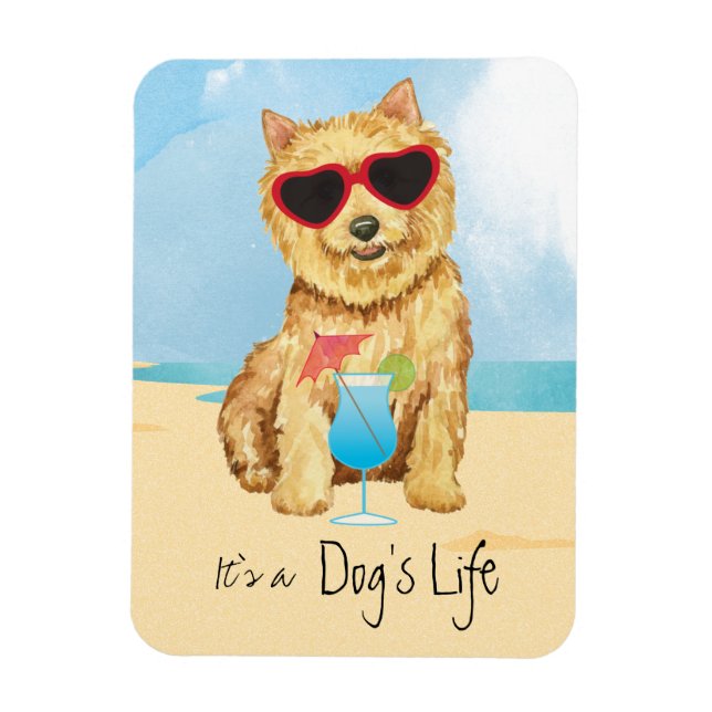 Summer Norwich Terrier Magnet (Vertikal)