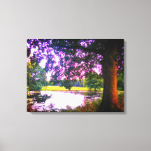 Summer Oak Träd och Pond