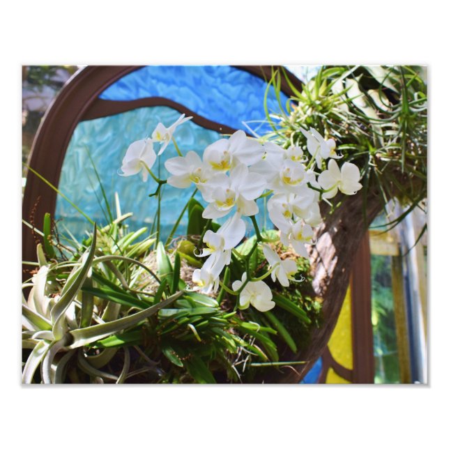 Summer Orchids Fototryck (Framsidan)