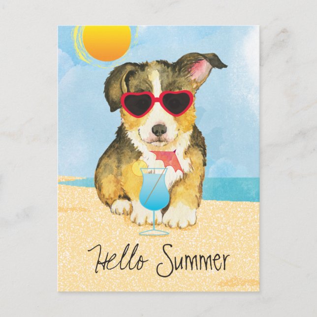 Summer Pembroke Welsh Corgi Vykort (Framsida)