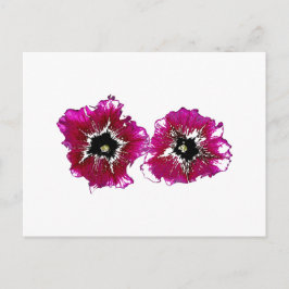 Summer Petunias Vykort