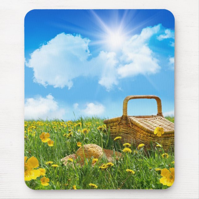 Summer Picnic Musmatta (Framsidan)