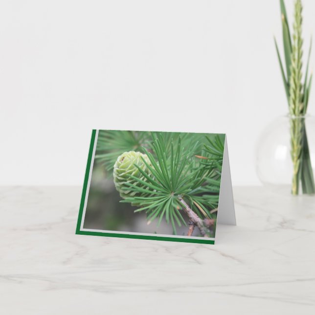Summer Pine Cone Note Card Tack Kort (Framsida)