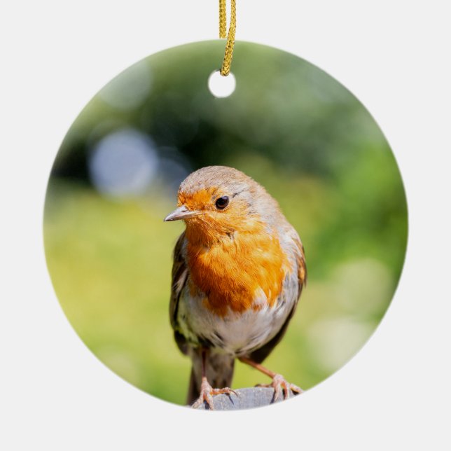 Summer Robin Ceramic Ornament (Framsidan)