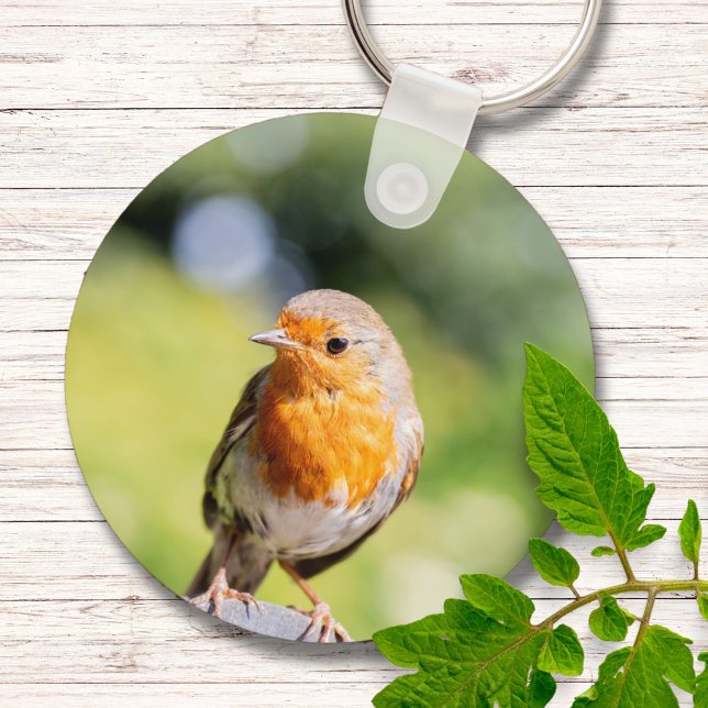 Summer Robin Nyckelring (Skapare uppladdad)